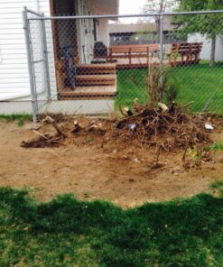 PORTER-CABLE 20V MAX* Reciprocating Saw, Tool Only (PCC670B) 25 81QVtdslFKL