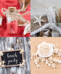 Tiny Miniature Fairy Garden Beach Critter Starfish Marine Life Collection for Arts & Crafts Projects, Decorations, Party Favors, Invitations (90 Pieces) 26 81QWZIPkGfL