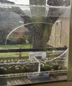 Large Clear Window Bird Feeder - Extended House with Strong Suction Cups - Steel Perch Sliding Feed Seed Tray - See Through Transparent Big Birdhouse - Wild Finch, Cardinal, Blue Jay - Cool Cat Gift 101 81QYHjRXGCL