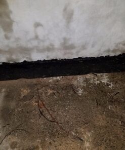 Rubberseal Liquid Rubber Waterproofing and Protective Coating - Roll On (1 Gallons) 1 Gallon 24 81QbjJkaM1L