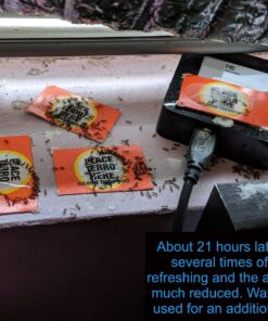 TERRO Liquid Ant Killer ll T200, 2 oz 47 81QcPpopQL