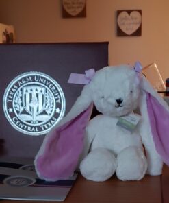 Bedtime Originals Wood Plush Bunny Sasha, Lavender 24 81Qe0fS394L