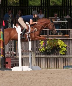 Bob's Red Mill - Resealable Organic Golden Flaxseed Meal, 16 Oz (4 Pack) 30 81Qhb5eC2L