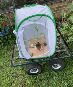 Trasfit Pop-up Insect and Butterfly Habitat Cage Terrarium - 24 Inches Tall 54 81QnmbAhb1L