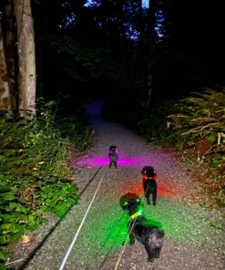 Blazin Ultra Bright Camping Lantern - Waterproof, Portable & Lightweight, 500 Lumens Battery Operated Camping Light - Ideal for Camping, Hurricane, Power Outages & Emergencies 500 Lumen Green 53 81Qo1CAqpL