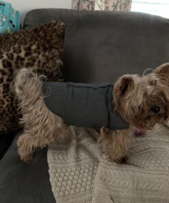 ThunderShirt Classic Dog Anxiety Jacket, Heather Grey, Small 34 81QqepIAL