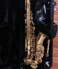 Eastar AS-Ⅱ Student Alto Saxophone E Flat Gold Lacquer Alto Beginner Sax Full Kit With Carrying Sax Case Mouthpiece Straps Reeds Stand Golden 41 81Qw8XuOGOL