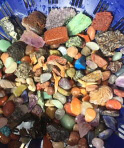 DANCING BEAR Rock, Mineral & Geodes Treasure Hunt Activity Kit (200 Pc Set) Real Shark Teeth Fossils, ID Sheet & Rock Book, STEM Rock, Mineral & Geodes Collection 71 81QxtZCRlwL