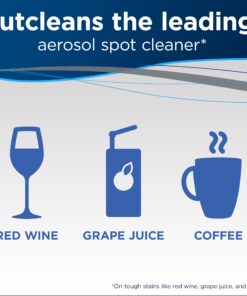 BISSELL Professional Power Shot Oxy Carpet Spot and Stain Remover, 14 ounces, 95C9 29 81QzG9PrZaL