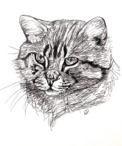 Pilot, Precise V5, Capped Liquid Ink Rolling Ball Pens, Extra Fine Point 0.5 mm, Black, Pack of 12 29 81QzHtpYXL