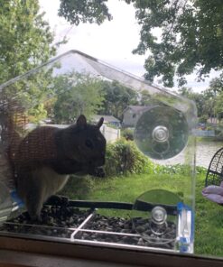 Window Bird Feeders for Outside - Large Bird House Style Window Bird Feeder - Window Bird Feeders with Strong Suction Cups with Drain Holes, Removable Tray, Large Seed Capacity and Rubber Perch 36 81R SSe815L