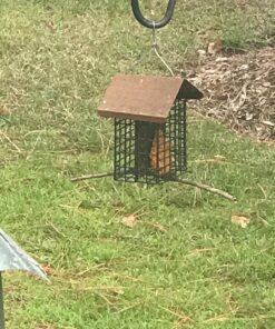 More Birds Double Suet Cage Bird Feeder with Metal Roof, Fruit and Suet Feeder, 2 Suet Cake Capacity Brown Double Cage 45 81R WtPRaVL