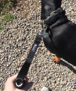 Leashboss Short Dog Leash for Dog Training | Padded Traffic Handle Short Leash for Dog Training, Total Comfort when Dog Walking | Traffic Leash for Dogs Large, Medium, Small | Short Nylon Dog Lead 12 Inch Black 51 81R1YCZus6L