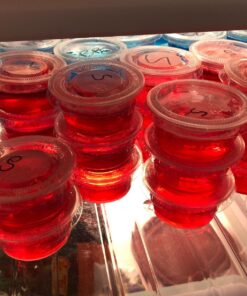 Polar Ice Jello Durable Plastic Shot Glasses, 2-Ounce, Translucent (Pack of 125) 14 81R25NOuEsL