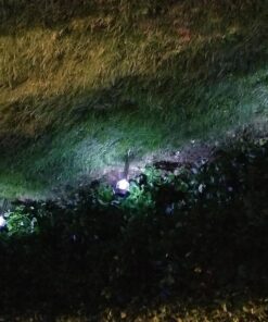 Signature Garden Premium Stainless Solar Garden Lights - Super-Bright 15 Lumens - Perfect Neutral Design; Makes Garden Pathways & Beds Look Great - Easy NO-Wire Installation; Water-Resistant Stainless Steel Silver 6-pack 45 81R5YHd yL 2