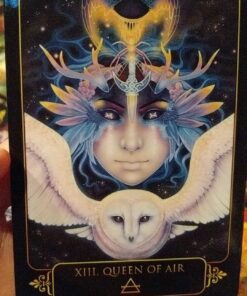 Dreams of Gaia Tarot: A Tarot for a New Era (Book & Cards) 46 81R7Cj0ICtL