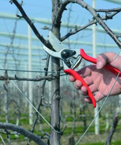 FELCO F-2 068780 Classic Manual Hand Pruner, F 2 24 81R88kIYVSL