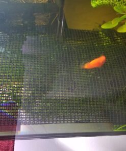 Luffy Decorative Wall or Floor Mesh Kit, 2 Pieces 45 81RApBoudgL