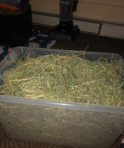 Oxbow Animal Health Western Timothy Hay - All Natural Hay for Rabbits, Guinea Pigs, Chinchillas, Hamsters & Gerbils-Veterinarian Recommended- Digestive & Dental Health- Grown in the USA- 9lb. 9 Pound (Pack of 1) 39 81RIWxayAcL