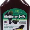 Songbird Essentials Bird Berry Jelly 20 Oz Purple 3 81RJ2qv6q0L