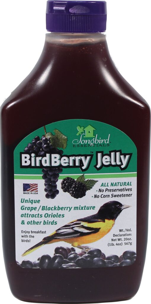 Songbird Essentials Bird Berry Jelly 20 Oz Purple