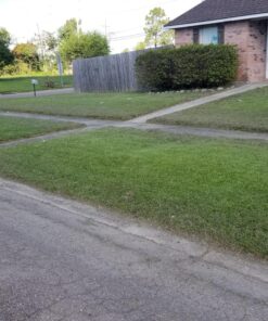 MaxPower 3317233 PivoTrim Universal Replacement Head, 3 x 3 (.080 - .095 IN) fits line sizes, Multicolor 31 81RJ3EqILL