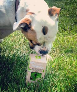 My AlphaPet Compostable Dog Poop Bags, Cornstarch Eco-Friendly, Highest EN1342 Certified, 120 Count, Large Size Bag 9x13 Inches, 8 Unscented Refill Rolls, Leak-proof, Plantbased, GM-Free Corn Unscented Green 31 81RKQhVor2L