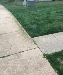 Worx String Trimmer Cordless & Edger 20V 10" - 12" Weed Trimmer PowerShare (Battery & Charger Included) WG154 33 81RLnPgDiJL