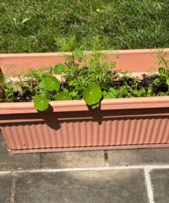 Wildflower Seeds Butterfly and Humming Bird Mix - Large 1 Ounce Packet 7,500+ Seeds - 23 Open Pollinated Annual and Perennial Species 1 Ounce Pouch 42 81RPv6uMfAL