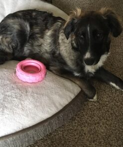 KONG Puppy Tires - Durable Puppy Chew Toy - Soft Rubber Treat Toys for Puppies & Dogs - Stuffable Dog Chew Toy - Puppy Teething Toy for Fetch & Mental Enrichment - Tire Chew Toy - Medium/Large Puppies 41 81RTq6NR2xL 2