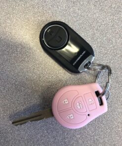 Chamberlain Group MC100-P Universal Garage Door Opener Mini Keychain Remote, Small, Black 43 81RV6pMifLL