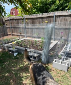 AMAGABELI GARDEN & HOME Hardware Cloth 1/2 inch 48inx50ft 19 Gauge Square Chicken Wire Galvanizing After Welding Fence Mesh Roll Raised Garden bed Plant Supports Poultry Netting Cage Snake Fence JW007 1/2inch 48inx50ft 30 81RVGopArL 1