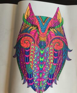 Adult Coloring Book: Stress Relieving Animal Designs 70 81RWQIlg7VL