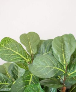 Nearly Natural 6ft Fiddle Leaf Fig Artificial Trees, 72in, Green 72 in 32 81RXLvhPk6L