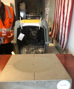 Petmate Sky Kennel, 28 Inch, IATA Compliant Dog Crate for Pets 15-30lbs, Made in USA 28 inch (Pack of 1) Kennel Only 35 81Re8cl9OL