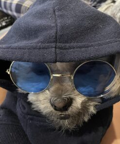 Rhode Island Novelty Round Colored Lens Sunglasses, One per Order, No Color Choice 19 81ReSbCNd3L