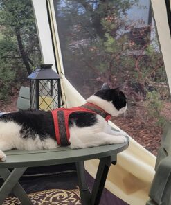 Coleman Camping Tent with Instant Setup, 4/6/8/10 Person Weatherproof Tent with WeatherTec Technology, Double-Thick Fabric, and Included Carry Bag, Sets Up in 60 Seconds 8-person Cabin Tent 52 81RkEG1KwL