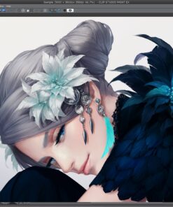 CLIP STUDIO PAINT EX - Version 1 - Perpetual License - for Microsoft Windows and MacOS 14 81RkXpGaL3L