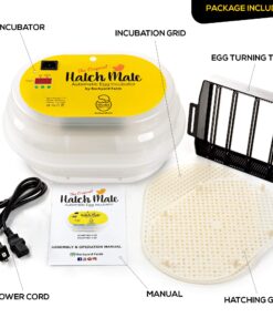 HatchMate™ Egg Incubator with Automatic Egg Turning and Humidity. Small & Portable for Hatching 9-12 Eggs. Hatch Chickens Quail Duck Turkey Parakeet & More Tabletop Incubator for Home or School Classroom 23 81RrtXWu9xL