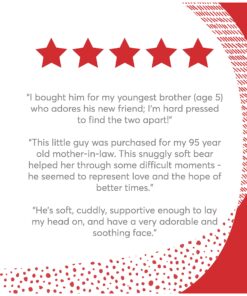 GUND Philbin Classic Teddy Bear, Premium Stuffed Animal for Ages 1 and Up, Chocolate Brown, 12” 32 81RsVoyCRuL 1