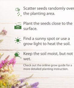 90,000 Wildflower Seeds - 3oz Pure Wild Flower Seed Pack - 25 Variety - Perennial Flower Seeds for Attracting Birds & Butterflies - Open Pollinated, Flower Garden Seeds for Planting Outdoors Perennial (3oz) 38 81RtISjLH5L