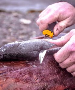 Morakniv Companion Fixed Blade Outdoor Knife with Sandvik Stainless Steel Blade, 4.1-Inch, Military Green 27 81RtNT9wtgL