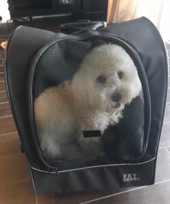 Pet Gear I-GO2 Roller Backpack, Travel Carrier, Car Seat for Cats/Dogs, Mesh Ventilation, Included Tether, Telescoping Handle, Storage Pouch 22.0"L x 13.5"W x 16.0"H 50 81RtwdjtbIL