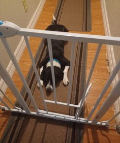 Carlson Extra Wide Walk Through Pet Gate with Small Pet Door, Includes 4-Inch Extension Kit, Pressure Mount Kit and Wall Mount Kit,White 43 81RwBR1BAL