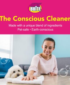 Quick N Brite All Purpose Cleaner, 6 Piece Combo Kit, with Concentrated Cleaner 64 oz 6 Piece Set 19 81RyXF7XEQL