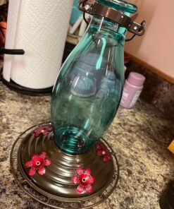 BOLITE 18001 Hummingbird Feeder, Glass Wild Hummingbird Feeders for Outdoors, Retro Edison Bulb Bottle, 25 Ounces, Green, Xmas Gifts for Bird Lovers Retro Bulb 31 81S3MaU mbL