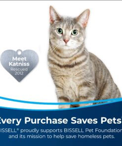 BISSELL Pet Pretreat + Sanitize Stain & Odor Remover, 1129 22 Fl Oz (Pack of 1) 12 81S4HEC9WqL