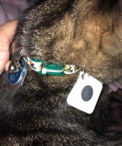 Tile Mate (2016) - 4 Pack - Discontinued by Manufacturer 34 81S64Hi5lVL