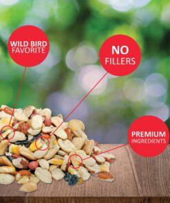Lyric Fruit and Nut Wild Bird Seed - High Energy Wild Bird Food Mix - Attracts Woodpeckers, Chickadees & Other Songbirds - 5 lb bag 5.00 Pound (Pack of 1) 27 81S8UIujEbL
