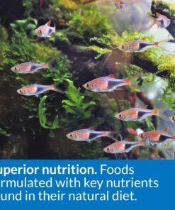 API TROPICAL FLAKES Fish Food 5.7-Ounce Container 5.7 Ounce (Pack of 1) 22 81SATpGpyL